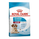 Royal Canin Starter Medium 3 Kg