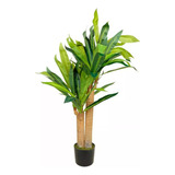 Árbol Artificial Palo De Brasil 90cm Alto + Maceta De Regalo