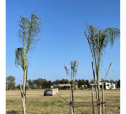 Lote En Club De Campo Estancia Villa Maria, Con Entrada Por Canning Y Por Maximo Paz, Cañuelas.