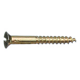 Tornillo De Hierro 20x30 Para Tarugo N°6 Pack X20 Unidades