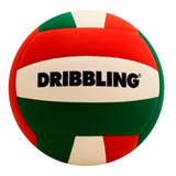 Pelota Voley Soft Touch Profesional Pu 18 Paneles Volleyball