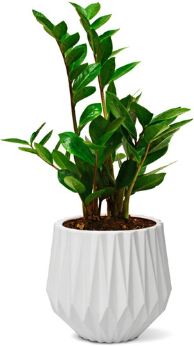 Vaso Origami Premium 3d Plantas Casa Jardim Pequeno Luxo