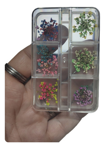 Flores Secas Caja X 12 Inclusiones Para Resina Uñas 