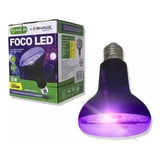 Foco Ultravioleta Luz Negra Led 12w Fiestas Neon Curado E27