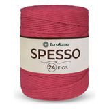 Barbante Spesso 24 Fios - Melancia - Euroroma - 1kg | Crochê