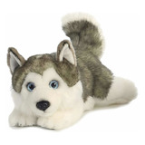 Peluche Aurora Miyoni Perrito Husky