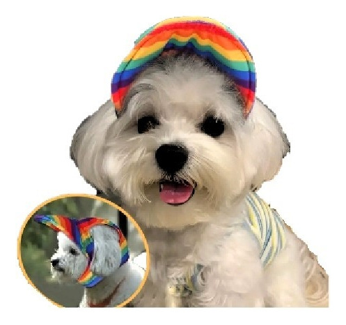 Gorra Arcoíris Cachorro Mascota