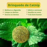 Abacate Com Erva Catnip Brinquedo Interativo Para Gatos Cor Verde