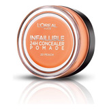 L'oreal Paris Infallible Pomade 5grs