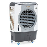 Ventilador Evaporativo Industrial 4 En 1 12gl Ruedas Gpl