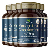 Condroitina E Glucosamina 6 X 60 Cápsulas Qualylife