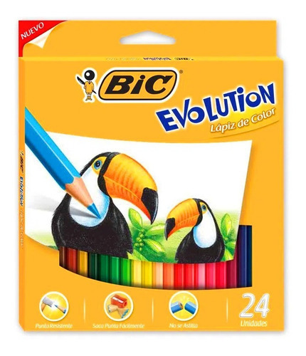 Lápices De Colores Bic Evolution 24 Colores