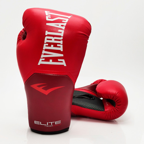 Luva + Bolsa Everlast Pro Style Elite V2 Muay Thai Boxe