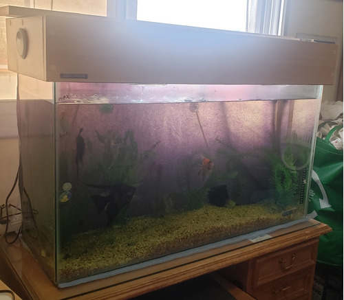 Acuario/pecera Completo De 90x50x30, Aireador,calefactor,pie