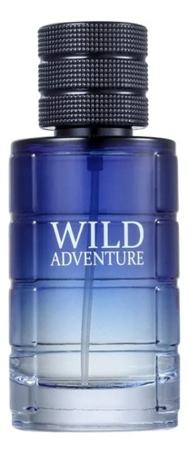 Wild Adventure 100ml Edt - Linn Young Volume Da Unidade 100 Ml