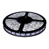 Tira Led Blanco Frio 5050 5mts 300 Leds Luz Fria Interior