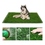 Alfombrilla Césped Artificial Cachorro Fácil Limpiar 71x46cm