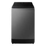 Lavadora Samsung Wa15cg5441bd/co 15kg Ecobubble Color Gris