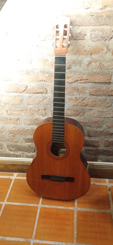 Guitarra Criolla Fonseca Modelo 25 Con Funda