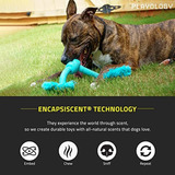 Playology Dri-tech Rope Dog Toy, Para Perros Medianos A Gran