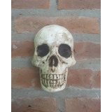 Calavera Placa Para Colgar