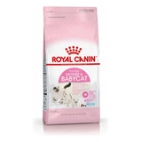 Royal Canin Kitten And Mother Que 1.5kg