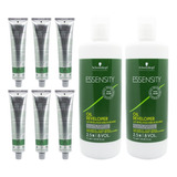 Schwarzkopf Essensity Kit X6 Tinturas + 2 Oxidantes 6c