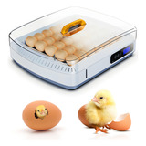 Incubadora De Huevos De 35 Huevos Automática De 360 Grados