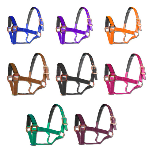 Almartigon Accesorio Para Caballo
