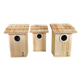 Paquete De 3 Casas De Pjaros - Bluebird, Finch, Wren, Gallin