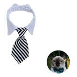 Collar Corbata Tipo Corbatín Gato Perro Raza Pequeña Mascota