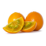 Sementes De Lulo Naranjilla Naranjilha Fruta Deliciosa Rara