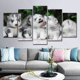 Quadros Decorativos Pet Shop Filhotes Husky Siberiano