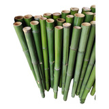 6 Varas De Bambú Natural Jardín Adorno 100cm / 6cm Grosor