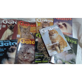 Lote Revista Todo Gatos.