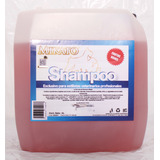 Shampoo 4 Lt Con Extracto Frutos Rojos Fragancia Frutas