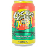 Cactus Refrigerador De Refresco De Naranja Piña Explosión Pa