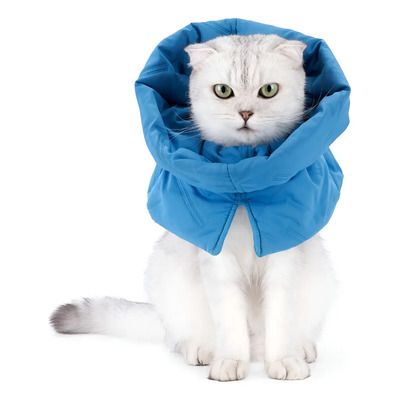 Collar Protector Anti-mordidas Para Gatos Accesorios | Envío gratis