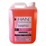 Shampoo Keratina Anti Frizz Han Texturizador X 5000lts