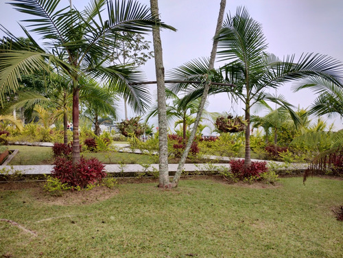 Venta De Finca En Envigado - Imagen 3