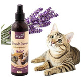 Traper Aromaterapia Lavanda Perro Y Gato/ Vets For Pets