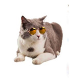 Gafas Lentes Para Mascotas Gatos Perros 