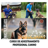 Video Curso Educanino: Adiestramiento Profesional Canino