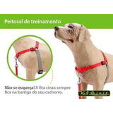 Peitoral Easy Walk Anti Puxão Da K9 Spirit P/ Cães - P Ao Gg Cor Vermelho