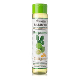 Shampoo De Bergamota Y Colageno Super Nutritivo 500 Ml