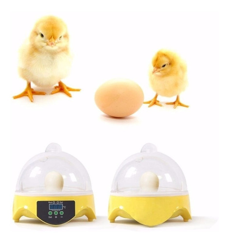 Mini Incubadora Para 7 Huevos Gallina O Pato