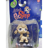 Lps Littlest Pet Shop #736 Poodle Hasbro