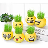 Divertidos Materos Plastico Para Cactus Suculentas Emojis X4