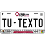 Placas Para Auto Personalizadas Quintana Roo 2023