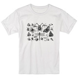 Camiseta Insetos Entomologia, Besouro, Borboleta, Mosca 02